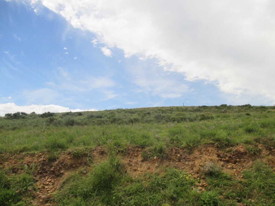 0 Bedroom Property for Sale in Outeniquasbosch Western Cape